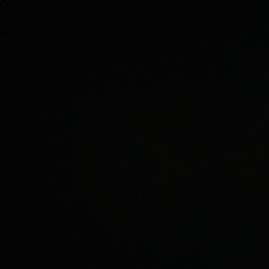 Meet your Posher, Bridget